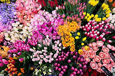 《胶佬模拟器》小幅跳票至明年2月 最新预告片欣赏